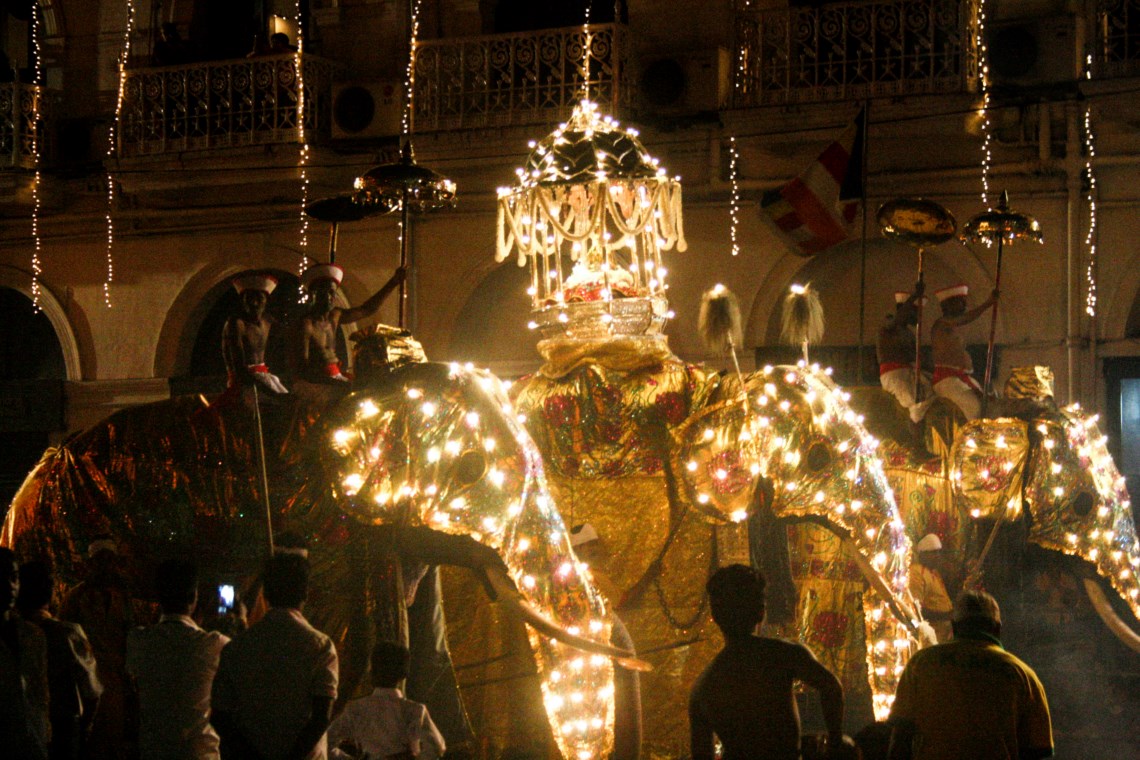 Słoń w przebraniu podczas największej procesji religijnej na Sri Lance